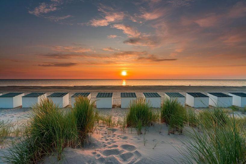 Beautifull House Beach Life 47 De Cocksdorp  Extérieur photo